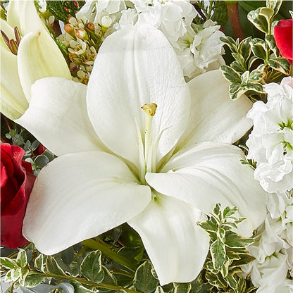 Twinkle Lights Bouquet –  Charming Petals, Dracut MA
