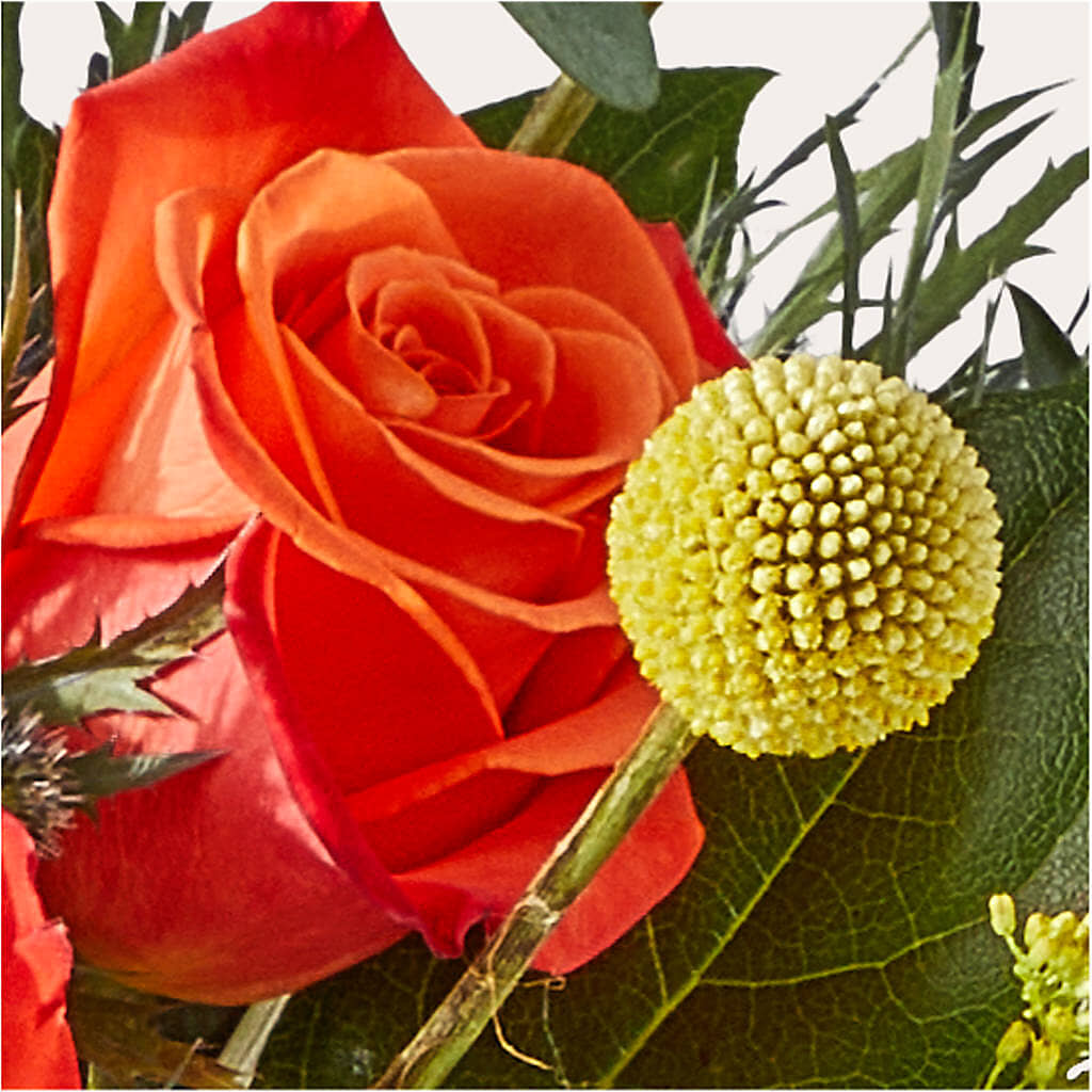 Disco Bouquet –  Charming Petals, Dracut MA