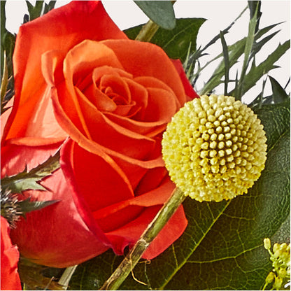 Disco Bouquet –  Charming Petals, Dracut MA
