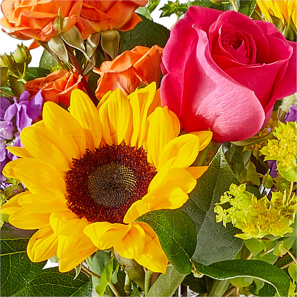 Vibrant Greetings Bouquet –  Charming Petals, Dracut MA