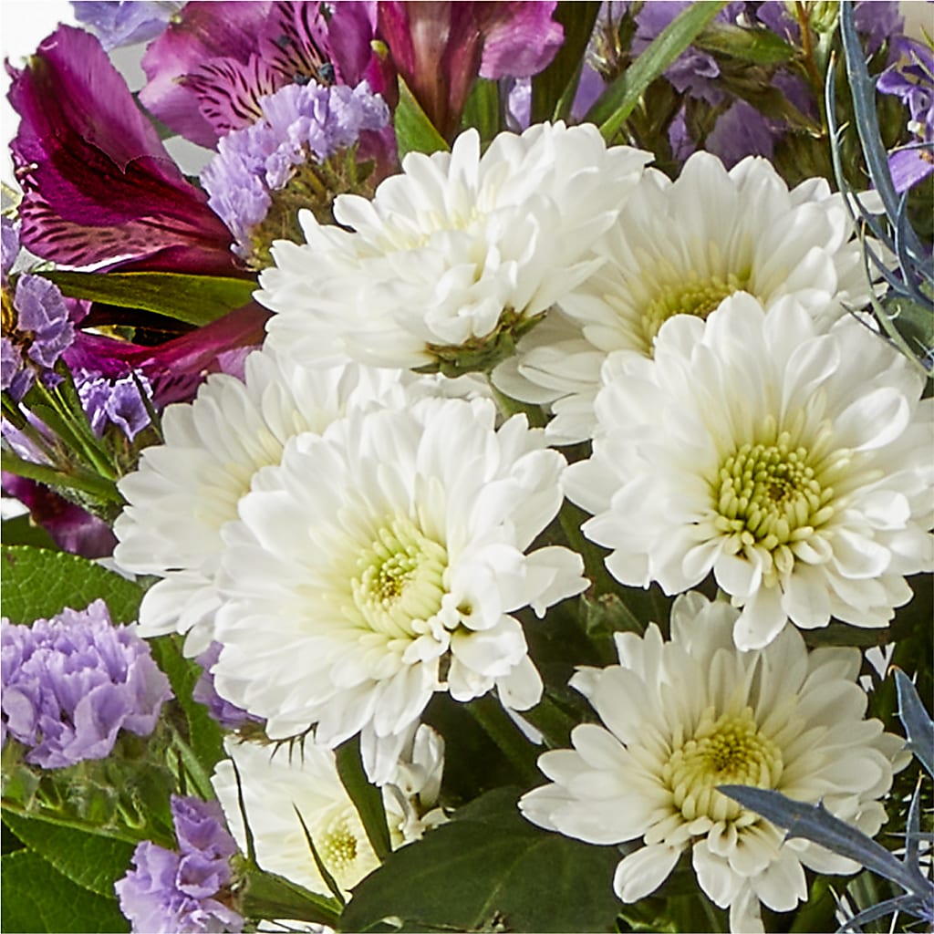 Shooting Star Bouquet –  Charming Petals, Dracut MA