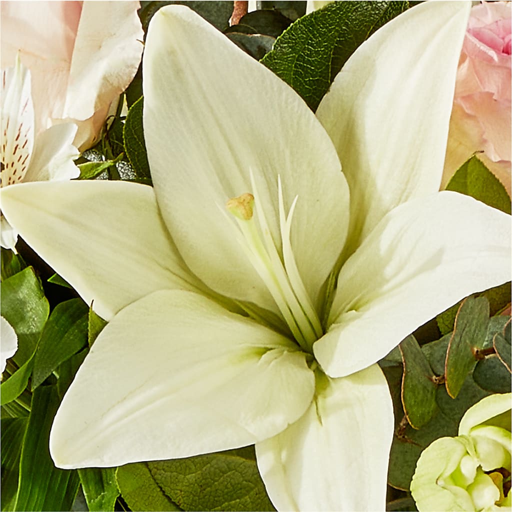 Ballet Slippers Bouquet –  Charming Petals, Dracut MA