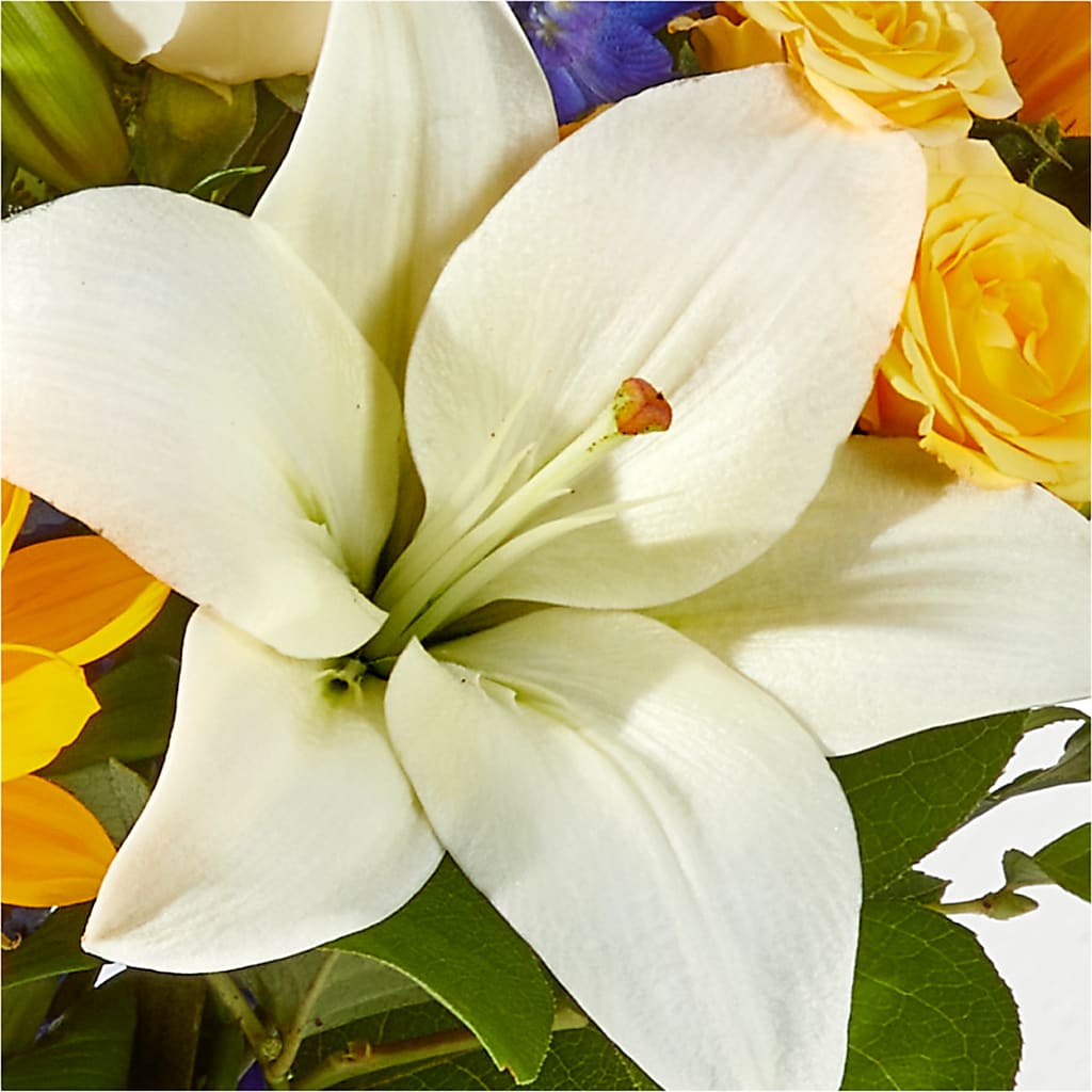 Wonderfully Sunny Bouquet –  Charming Petals, Dracut MA