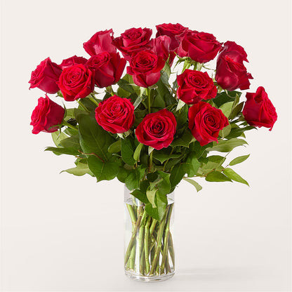 The One Red Rose Bouquet –  Charming Petals, Dracut MA