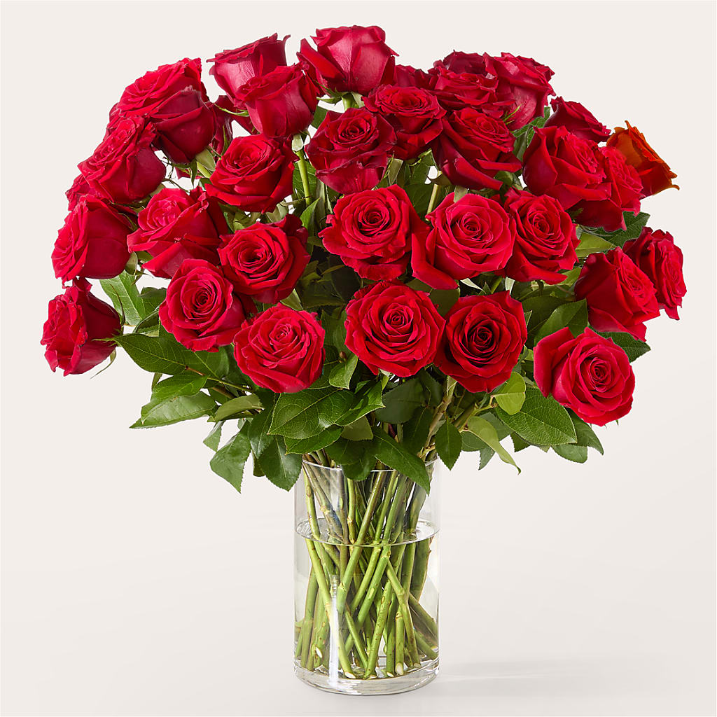 The One Red Rose Bouquet –  Charming Petals, Dracut MA