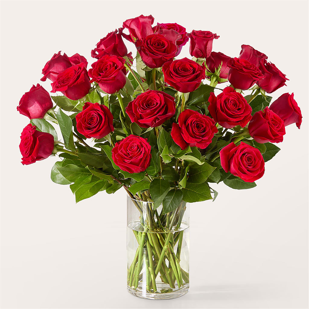 The One Red Rose Bouquet –  Charming Petals, Dracut MA