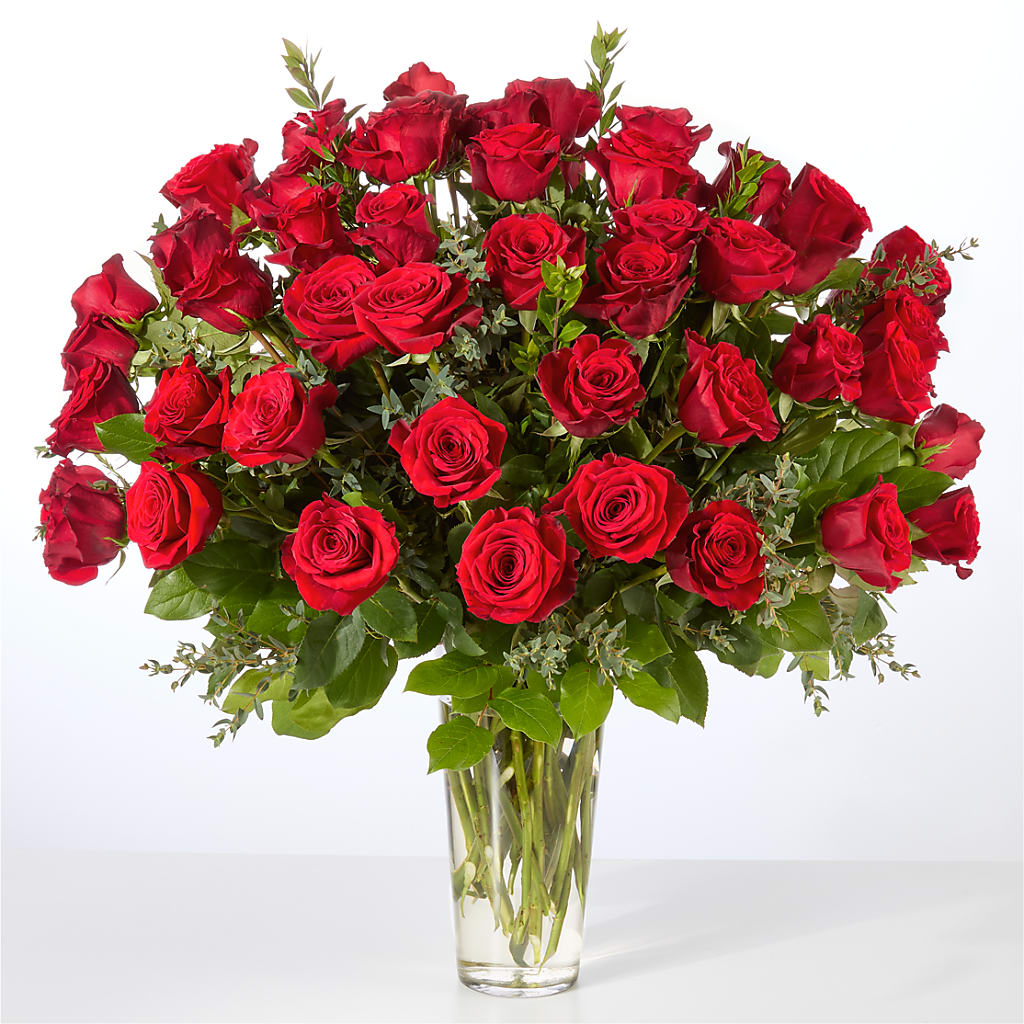 Forever Yours Fifty Stem Red Rose Bouquet –  Charming Petals, Dracut MA