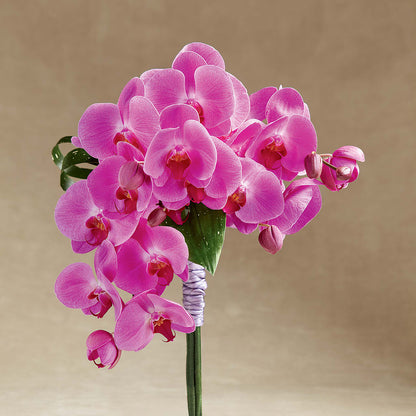 Glorious Bouquet –  Charming Petals, Dracut MA