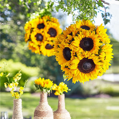 Sublime Garden Hanging Arrangement –  Charming Petals, Dracut MA