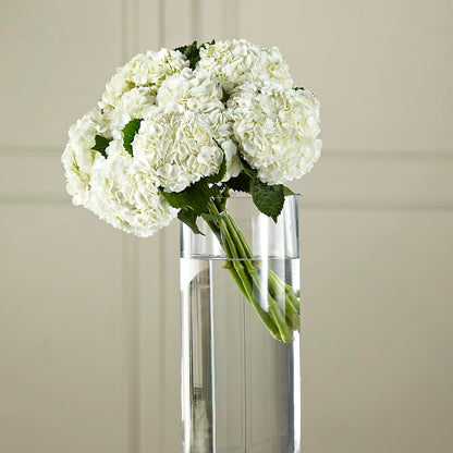White Hydrangea Hand-Tied Bouquet –  Charming Petals, Dracut MA
