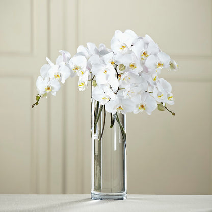 White Phalaenopsis Bouquet –  Charming Petals, Dracut MA